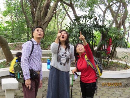 img 0033 (1)